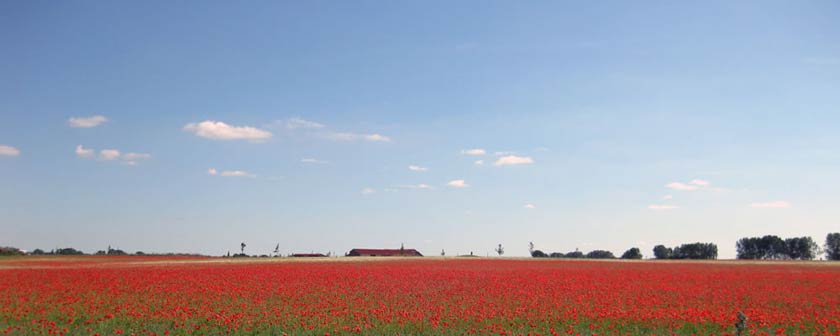 2013 war wieder ein erfolgreiches Jahr für den Tourismus in Mecklenburg-Vorpommern.
