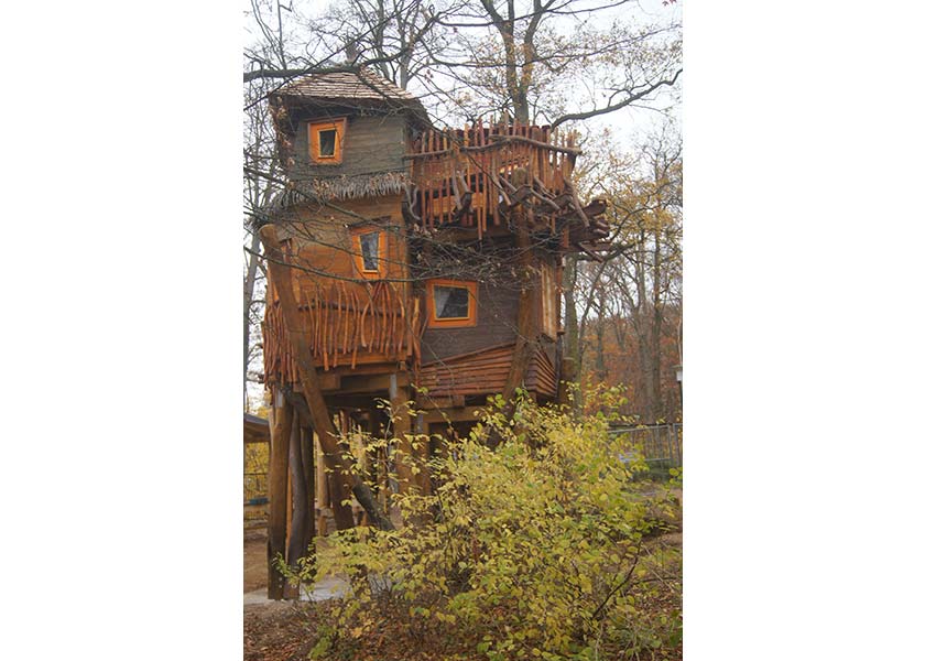 Im neuen Baumhaus im Schweriner Zoo kann jetzt auch übernachtet werden.